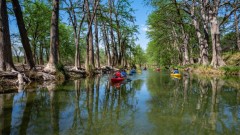 Suttle and Company Real Estate