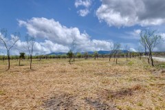 Suttle and Company Real Estate