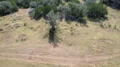 Suttle and Company Real Estate