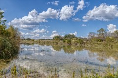 Suttle and Company Real Estate