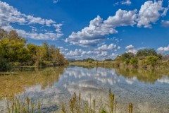 Suttle and Company Real Estate