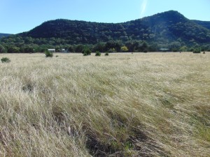Texas Hill Country and Frio Canyon Properties