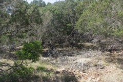 Suttle and Company Real Estate