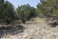 Suttle and Company Real Estate