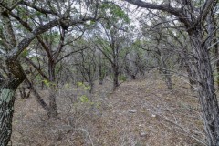 Suttle and Company Real Estate