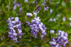 Suttle and Company Real Estate