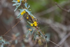 Suttle and Company Real Estate