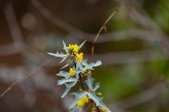 Suttle and Company Real Estate