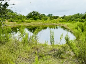 Texas Hill Country and Frio Canyon Properties