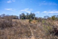 Suttle and Company Real Estate