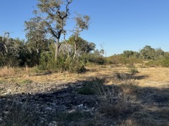 Suttle and Company Real Estate