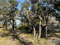 Suttle and Company Real Estate