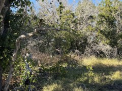 Suttle and Company Real Estate