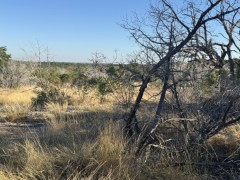 Suttle and Company Real Estate