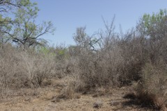 Suttle and Company Real Estate