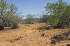 Suttle and Company Real Estate