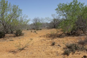 Texas Hill Country and Frio Canyon Properties