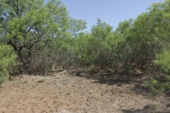 Suttle and Company Real Estate