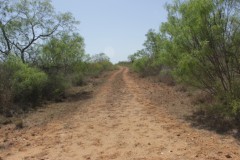 Suttle and Company Real Estate