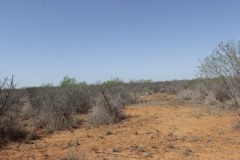 Suttle and Company Real Estate