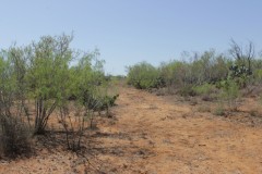 Suttle and Company Real Estate