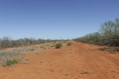 Suttle and Company Real Estate