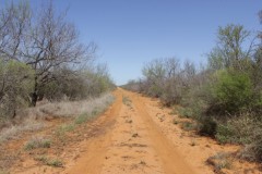 Suttle and Company Real Estate