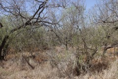 Suttle and Company Real Estate