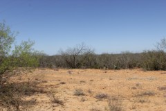 Suttle and Company Real Estate