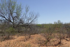 Suttle and Company Real Estate