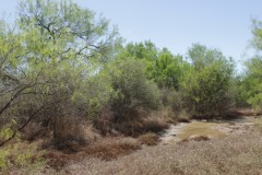 Suttle and Company Real Estate