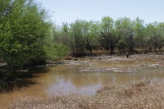 Suttle and Company Real Estate