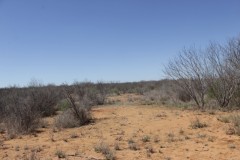 Suttle and Company Real Estate