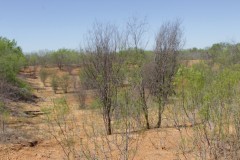 Suttle and Company Real Estate