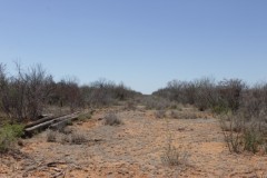 Suttle and Company Real Estate