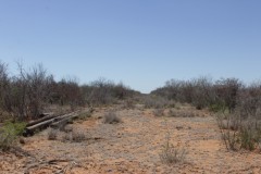 Suttle and Company Real Estate