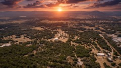 Suttle and Company Real Estate