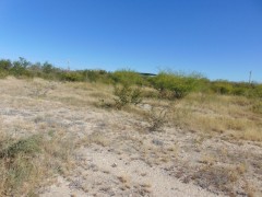 Suttle and Company Real Estate