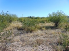 Suttle and Company Real Estate