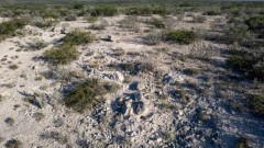 Suttle and Company Real Estate