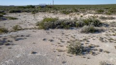 Suttle and Company Real Estate