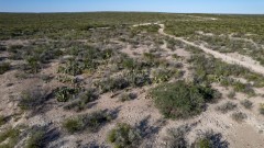 Suttle and Company Real Estate