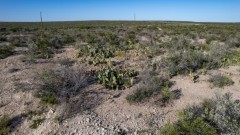 Suttle and Company Real Estate