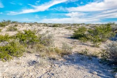 Suttle and Company Real Estate