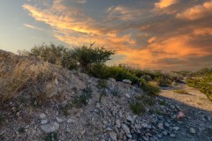 Suttle and Company Real Estate