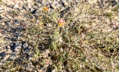 Suttle and Company Real Estate