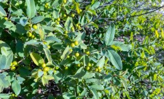 Suttle and Company Real Estate