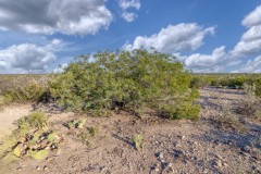 Suttle and Company Real Estate