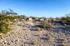 Suttle and Company Real Estate