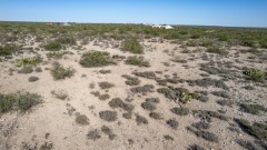 Suttle and Company Real Estate